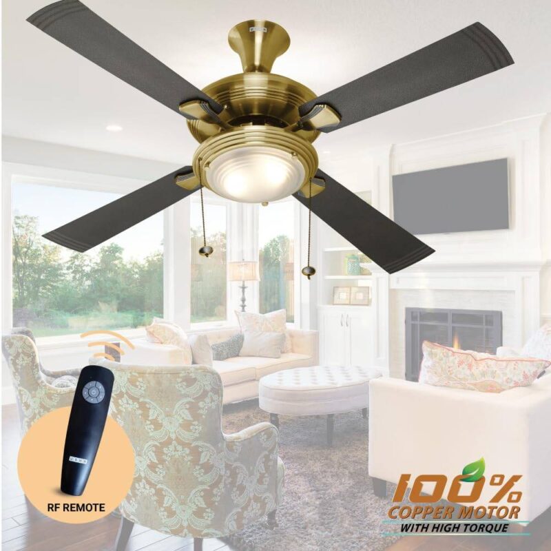 Fan
